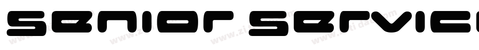 Senior Service字体转换
